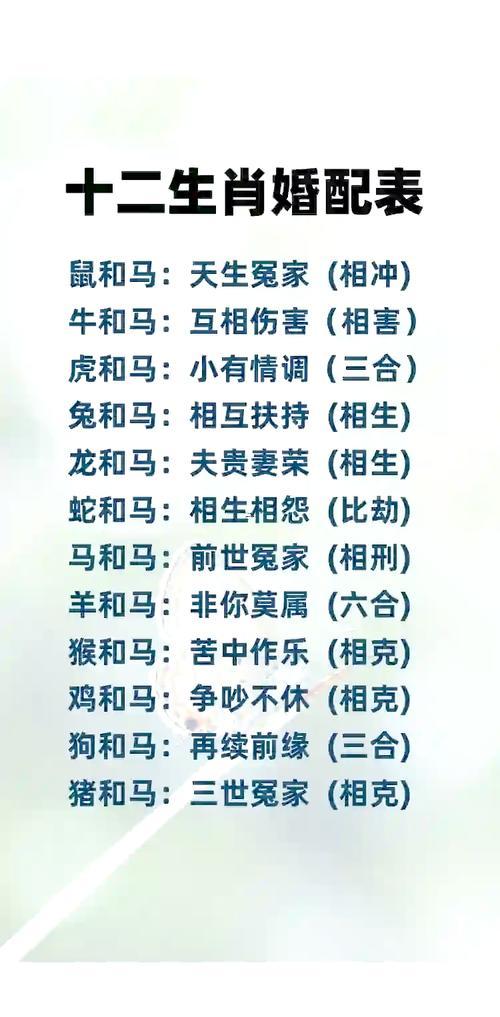 女馬配啥生肖最佳
