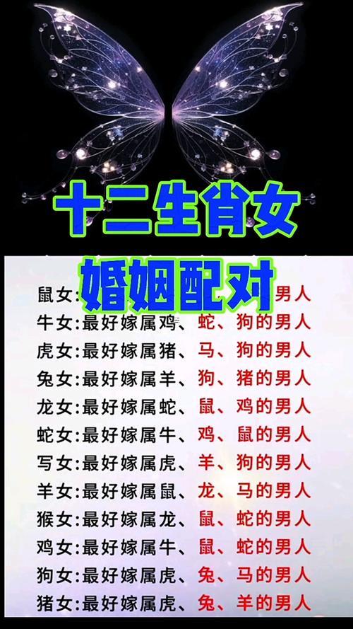 十二坐肖屬相婚配