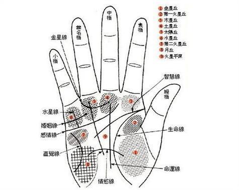 無名指有痣