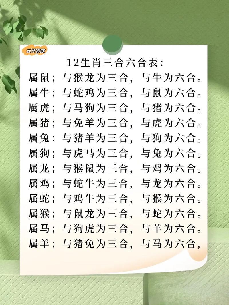 屬龍跟屬鼠合財(cái)不