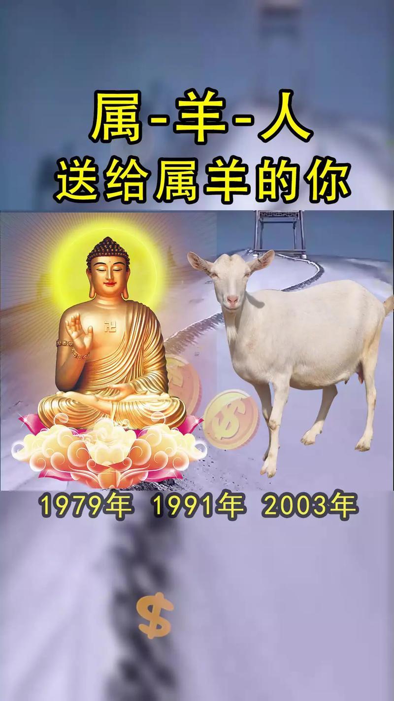 2003年屬羊是什么命