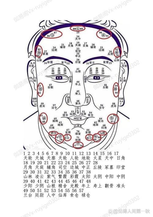 面相怎樣看五官