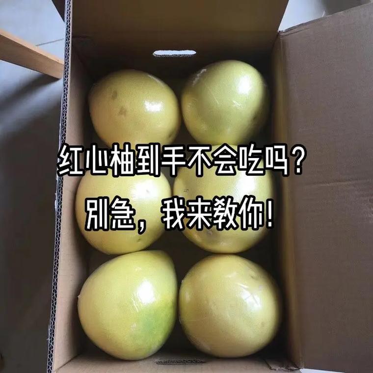 夢見切西瓜