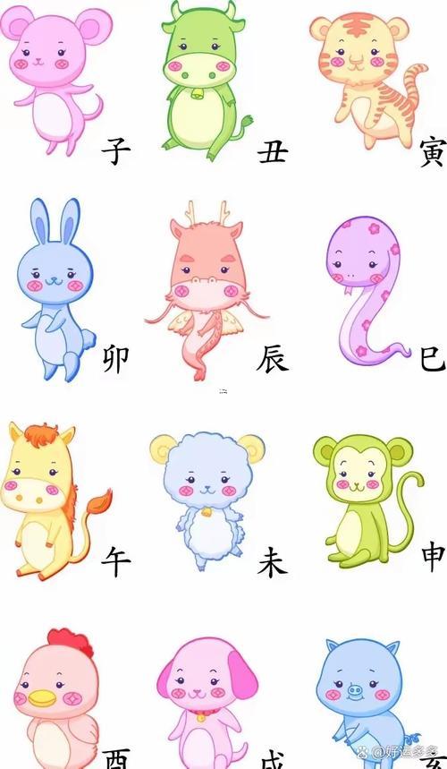 子是何事生肖