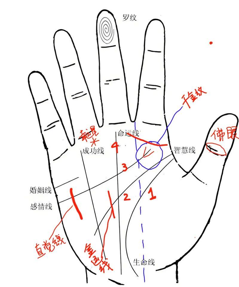 免費看手相