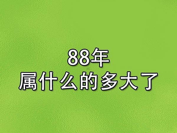 88年多大了今年多大了