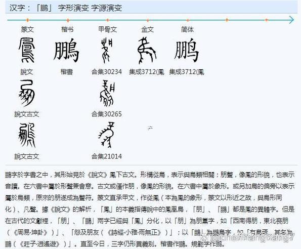 鵬字五行屬啥