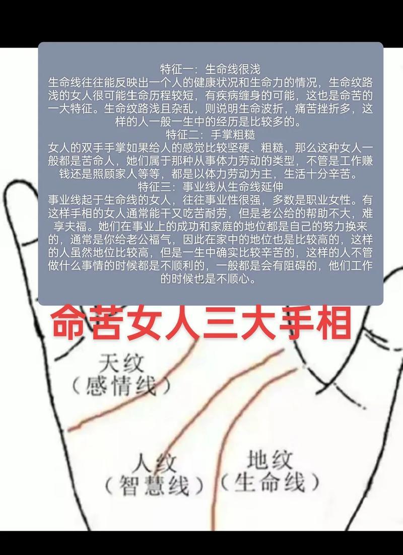 手相準(zhǔn)還是算命準(zhǔn)