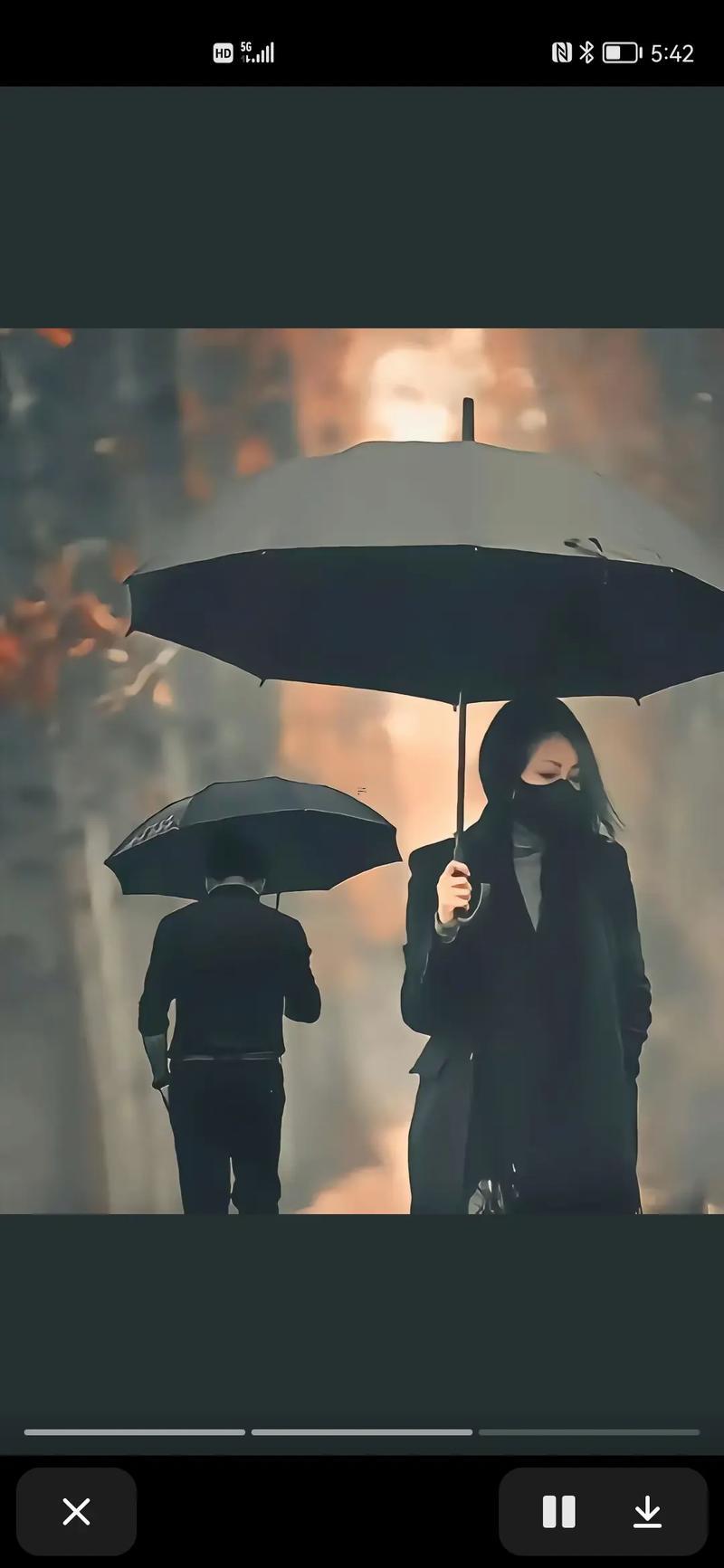 夢(mèng)見雨傘