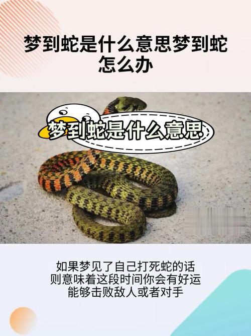 夢(mèng)到打死蛇