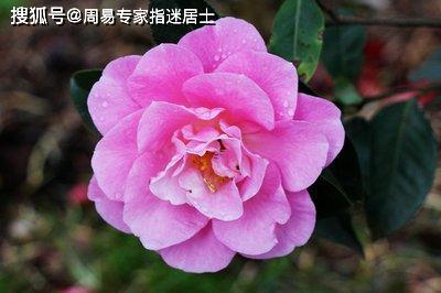 耳熱測吉兇法