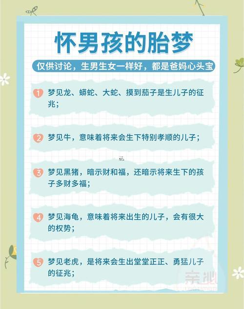 夢見雙胞胎男孩
