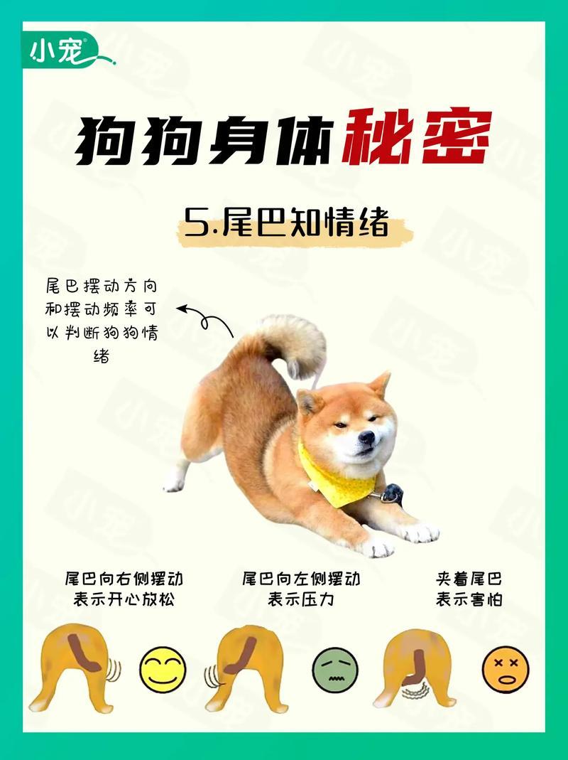 夢到別人拉屎