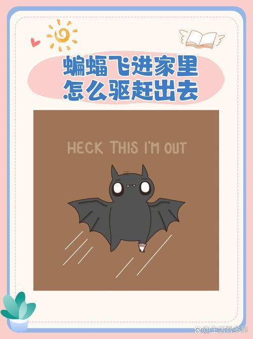 蝙蝠飛進屋里是吉是兇