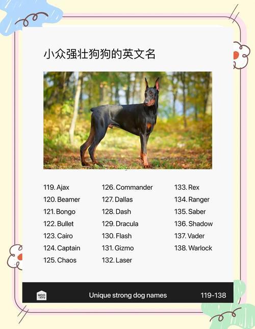 好聽(tīng)的寵物狗名字