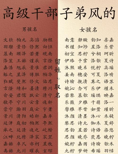 宸字取名得寓意