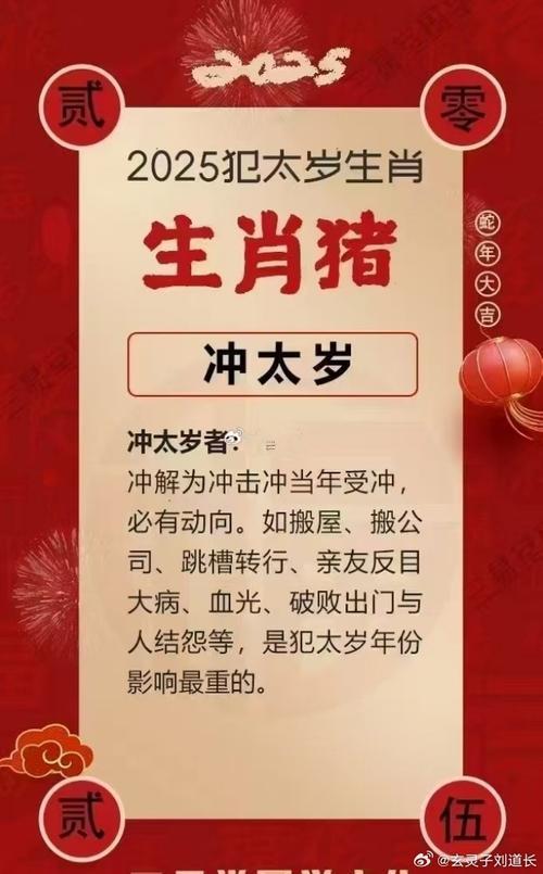 95年屬豬是本命年嗎