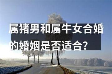屬豬的臘月出生的女孩好不好