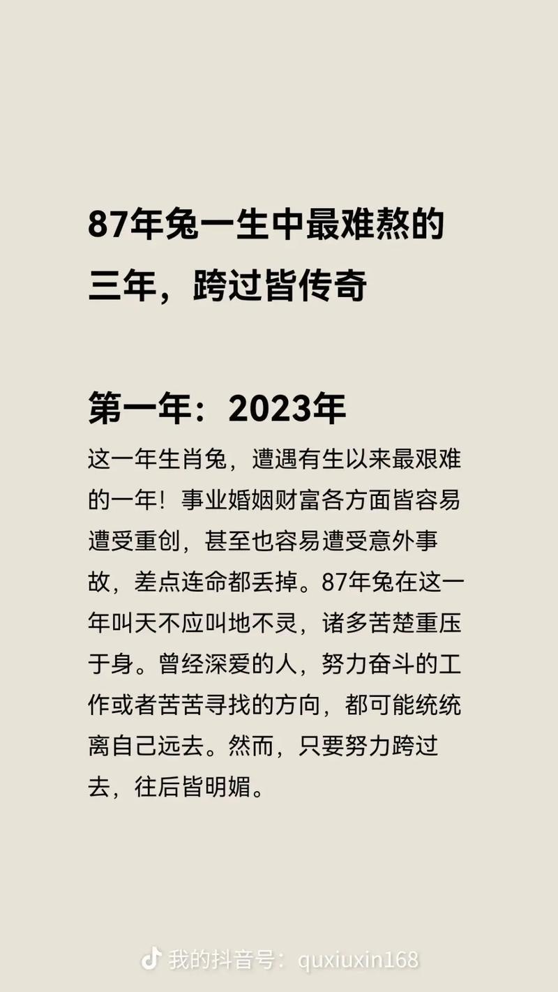 1987年什么年