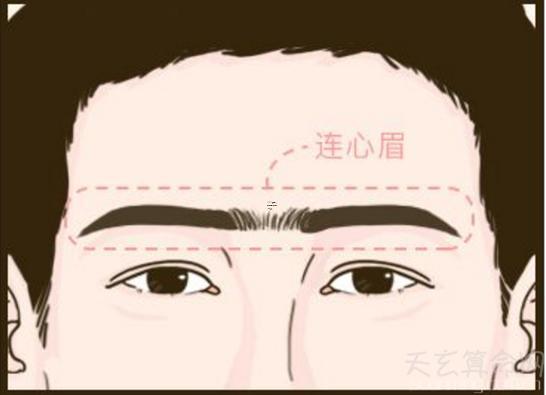 兩個眉毛連在一起