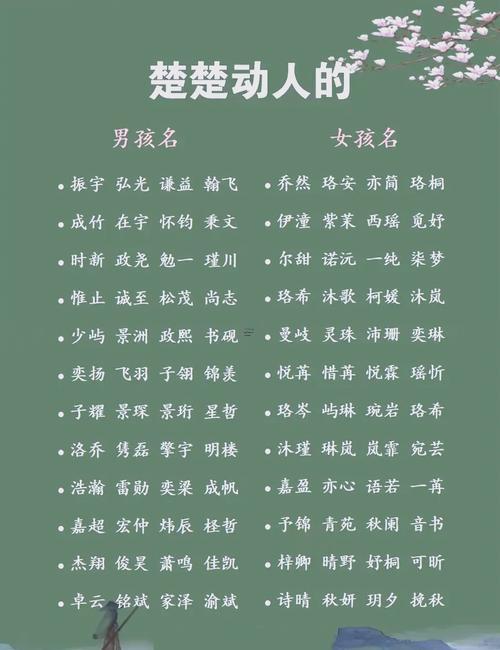 莀字取名男孩寓意好嗎
