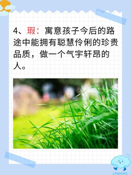 芮起名字寓意