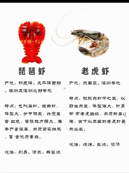 夢見吃大蝦