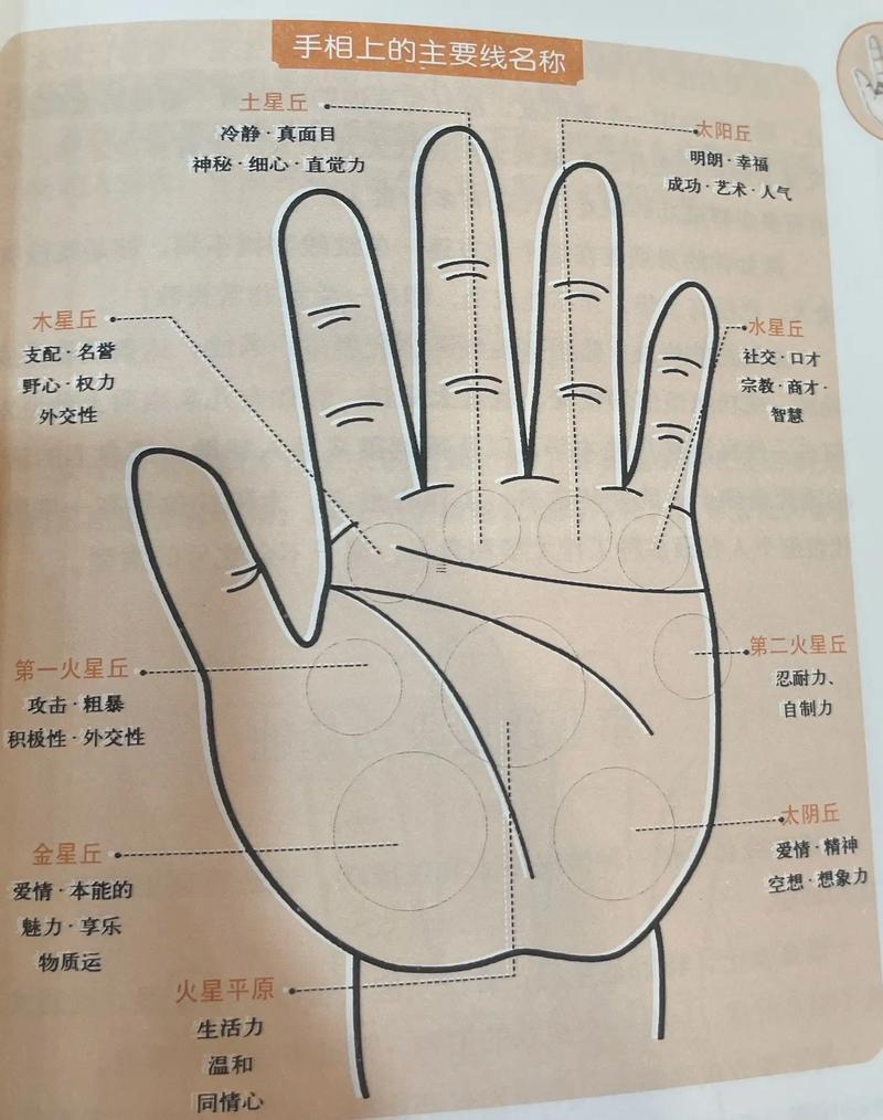 八字結(jié)合手相共同看更準(zhǔn)嗎