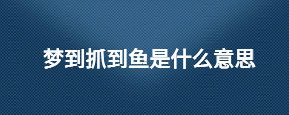 夢見捉魚
