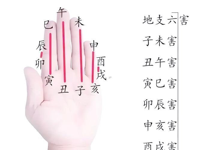 辰的五行