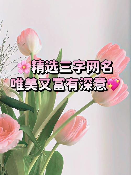 高雅不俗的網(wǎng)名三個字