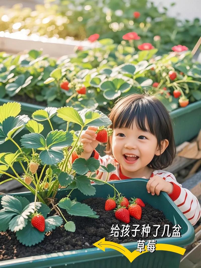 2025年12月最佳栽種吉日