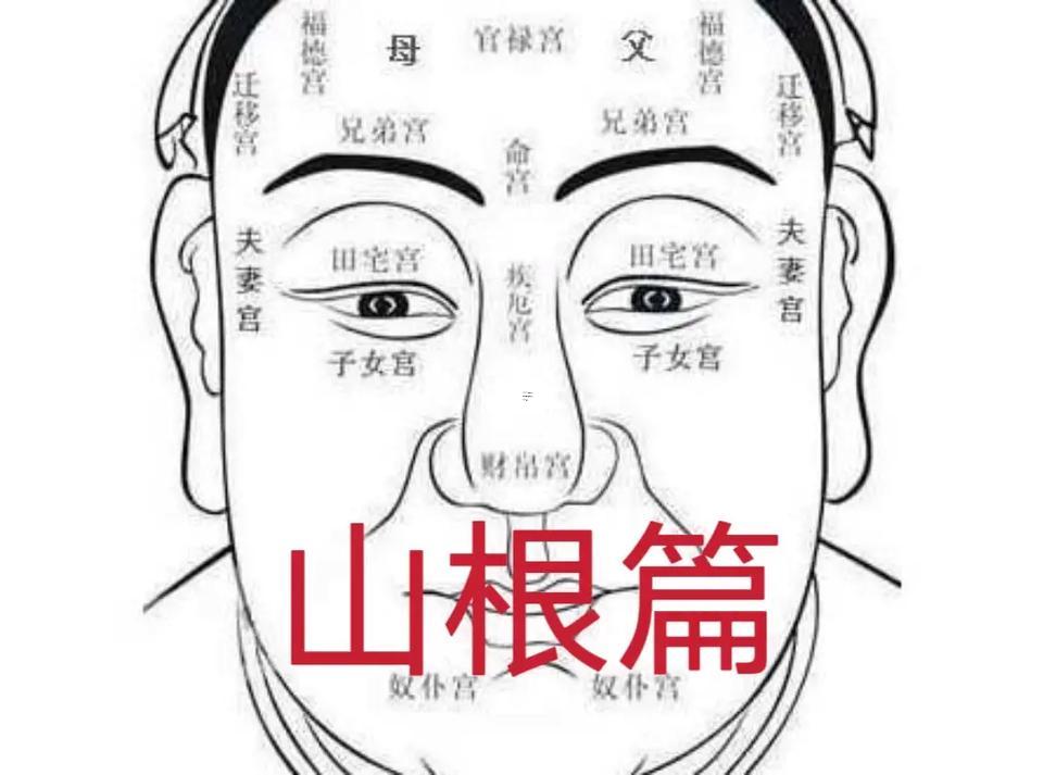 山根有痣得女人