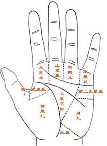 手機(jī)免費拍照測手相