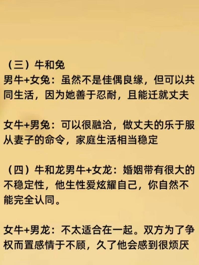 屬牛人輕松離婚嗎