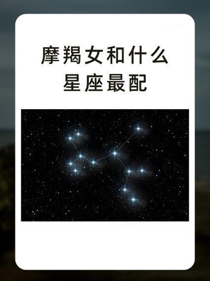 摩羯座的天賦同能力