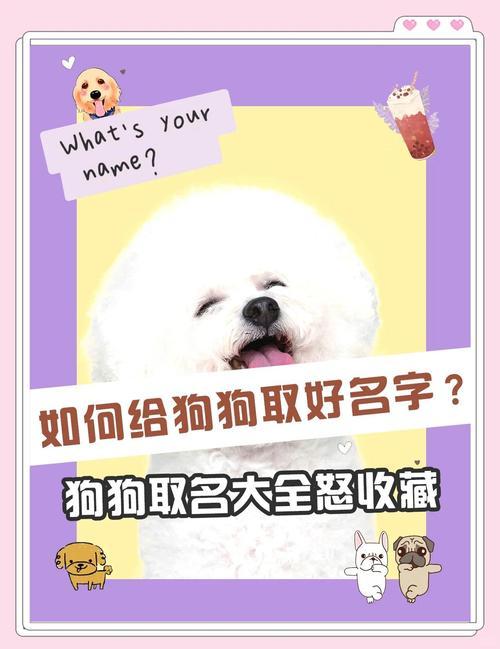 可愛狗名字