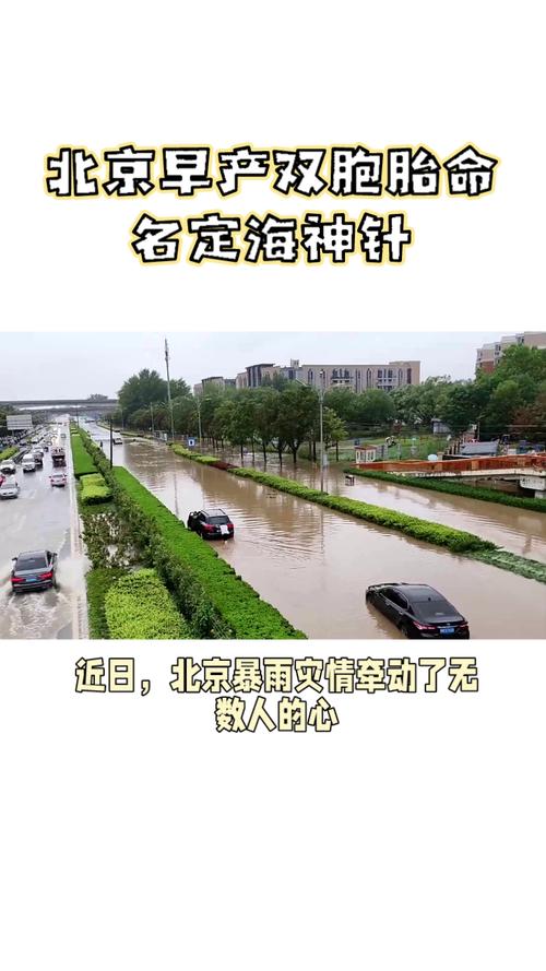 雙胞胎暴雨中降生被起名定海神針