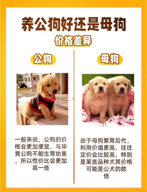 搬家忌諱虎和狗狗