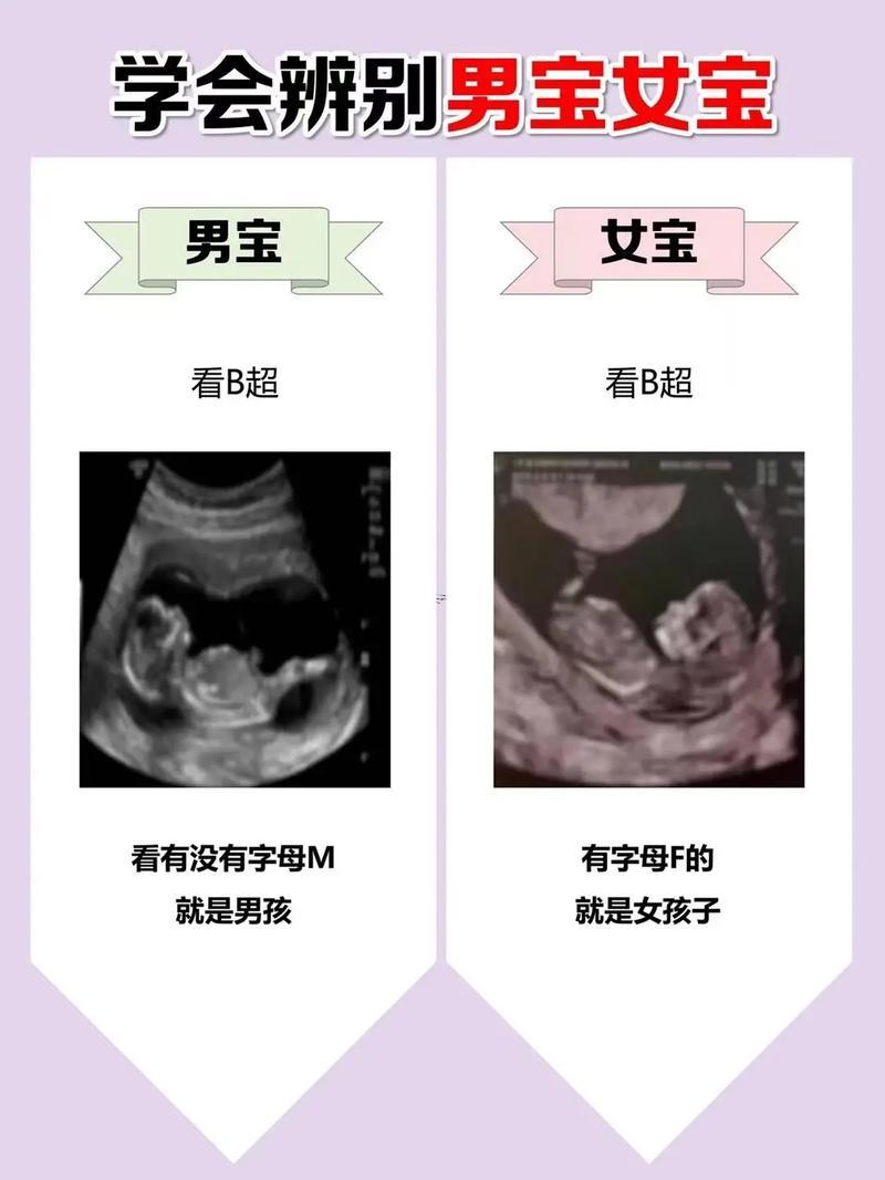 女人男相必有貴相