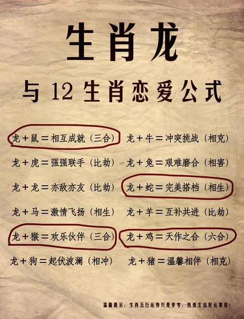 男蛇女龍
