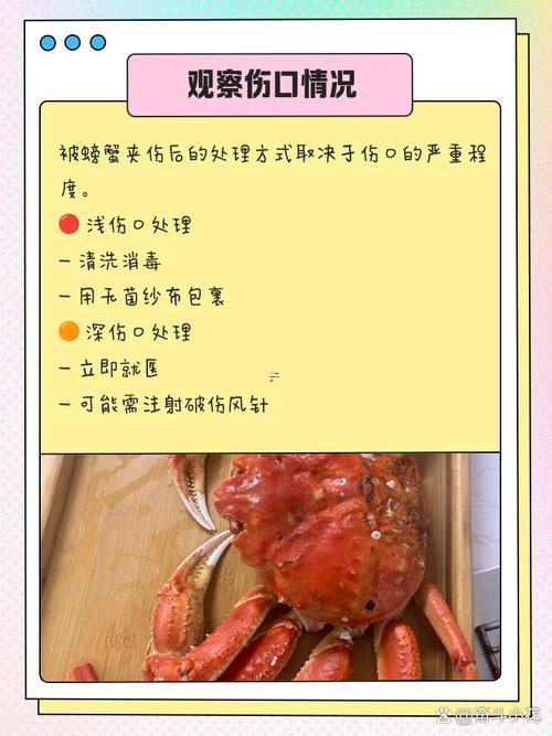 夢(mèng)見螃蟹