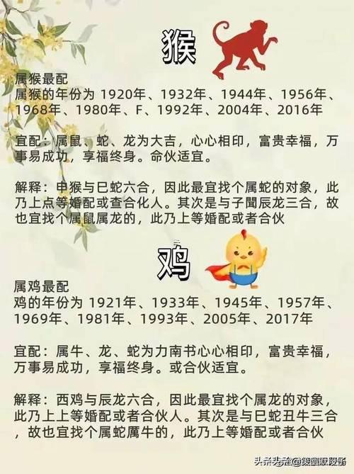 馬猴屬相婚配好嗎