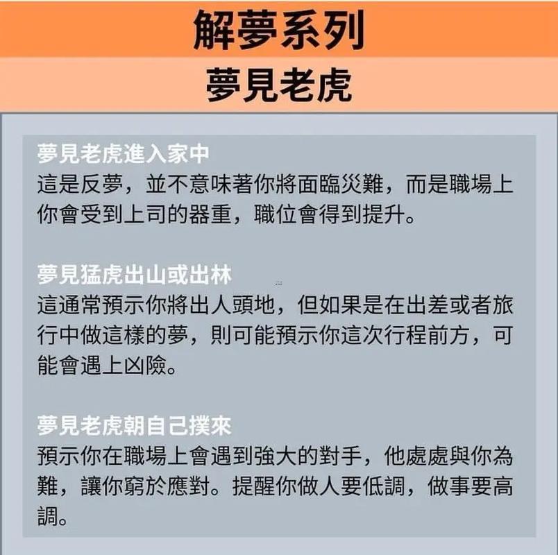 夢到小老鼠