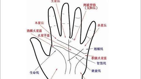 手相從字紋的詳解