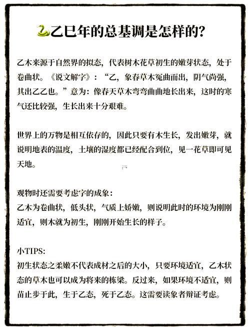 蛇年是什么東西年