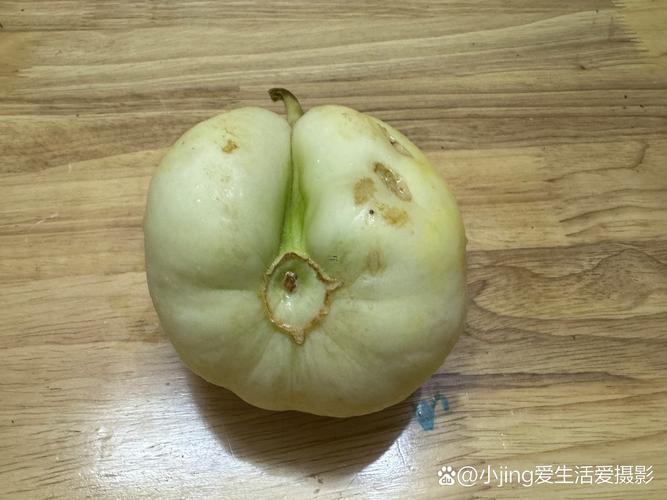 夢見摘瓜