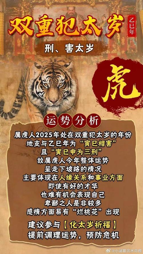 虎年屬豬破太歲虎人是啥