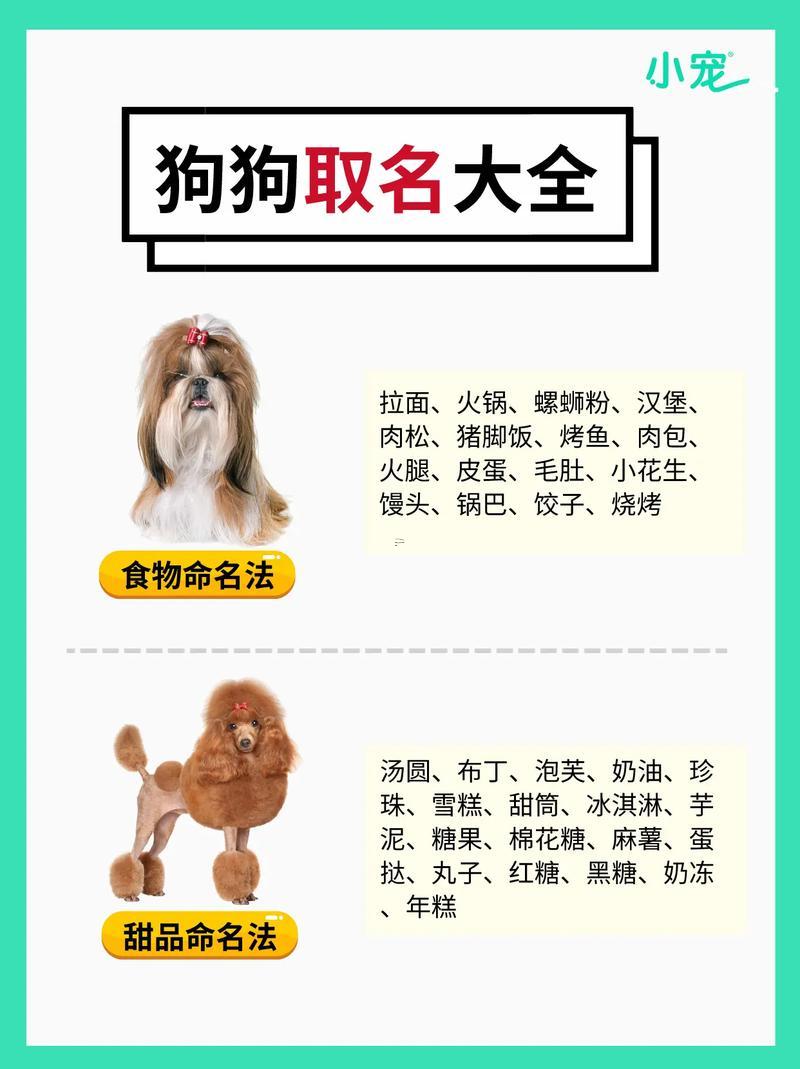可愛狗狗名字