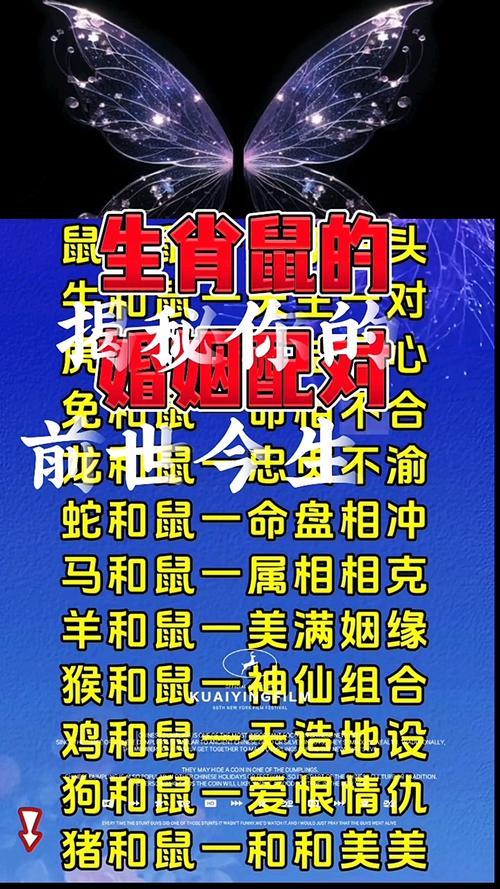 女鼠配什么屬相最佳